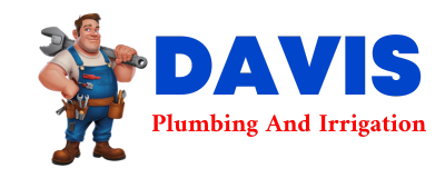 Trusted plumber in DANIEL